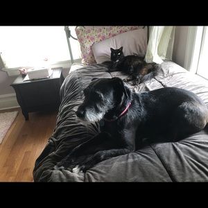 Meet your Posher, Betsy